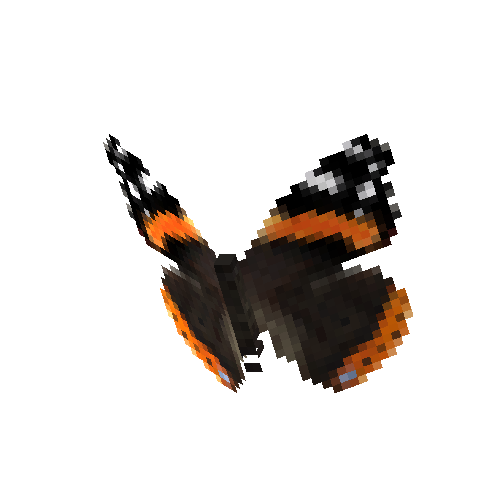 Red Admiral