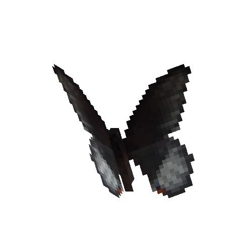 Scarlet Mormon (male)