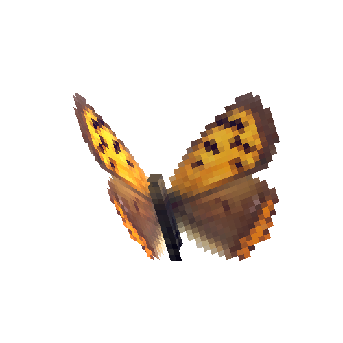 Small Copper (male)