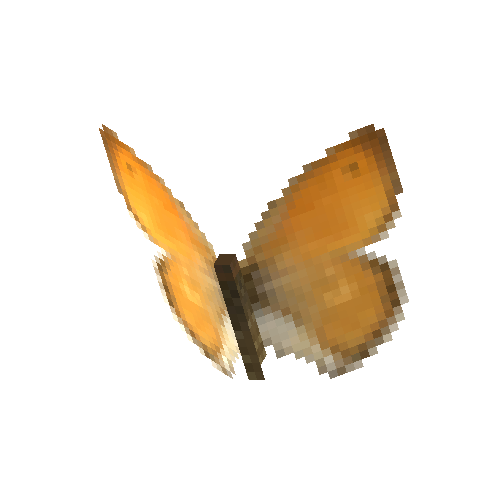 Small Heath (male)