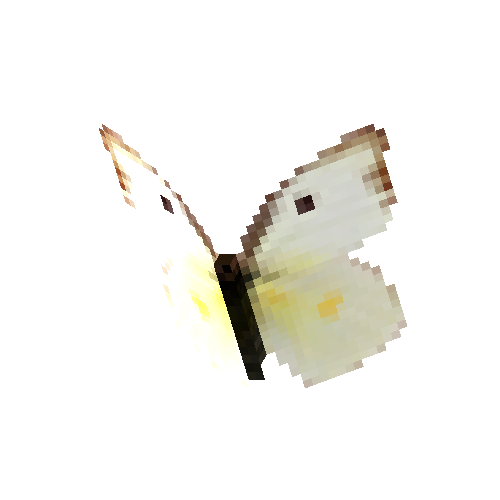 Southern Dogface (white female)
