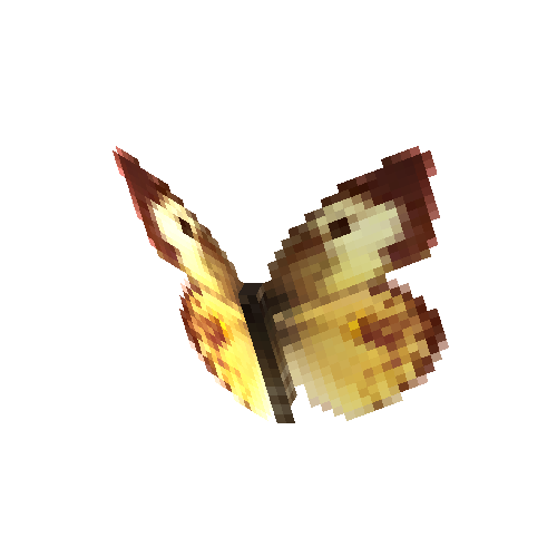 Southern Dogface (yellow female)