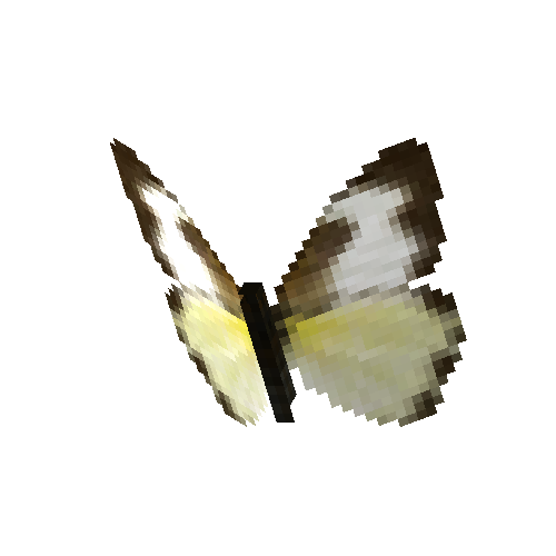 Tropical White (wet season female)