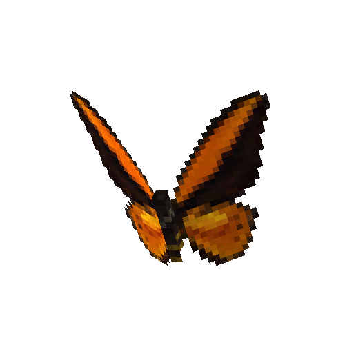 Wallace's Golden Birdwing (male)