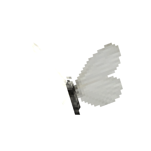 Wood White (female)