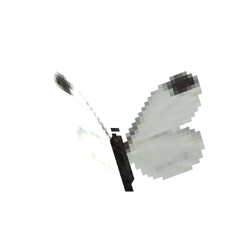 Wood White (male)