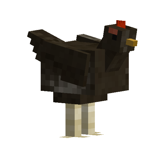 Hen
