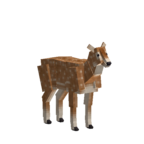 Chital deer (female)