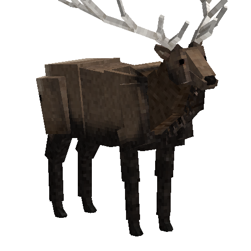 Elk (male)
