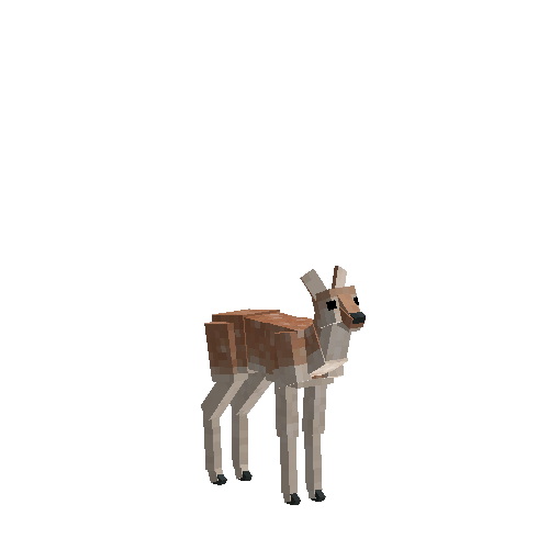 Elk calf (male)