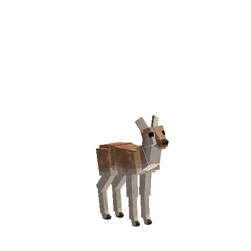 Fallow deer fawn (female)