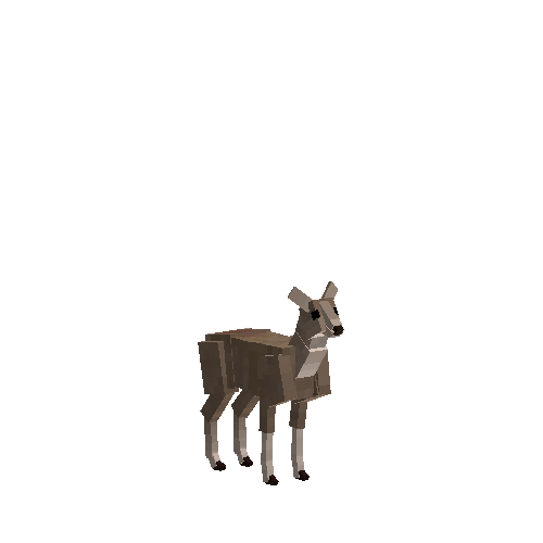 Guemal deer fawn (male)