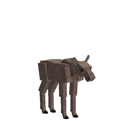 Moose calf (male)