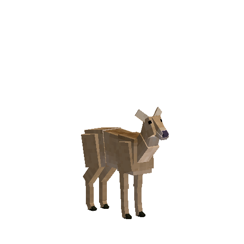 Pampas deer (female)
