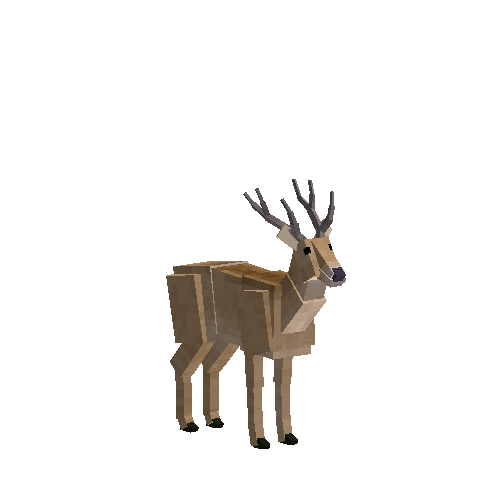 Pampas deer (male)
