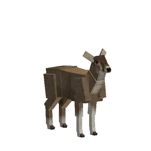 Taruca deer (female)