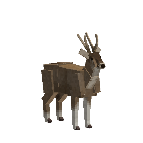 Taruca deer (male)