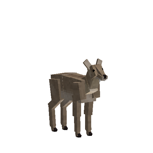 Water deer (male)
