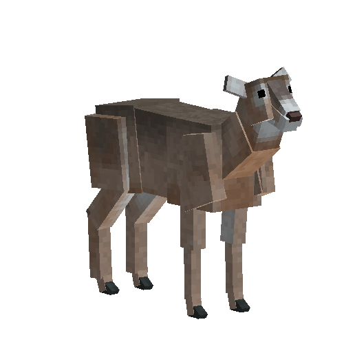 Whitetail deer (female)