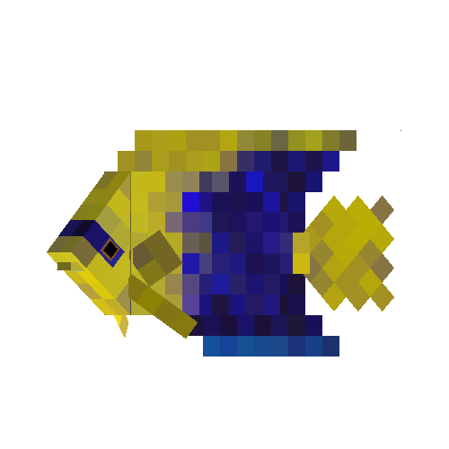 Bicolor angelfish (male)