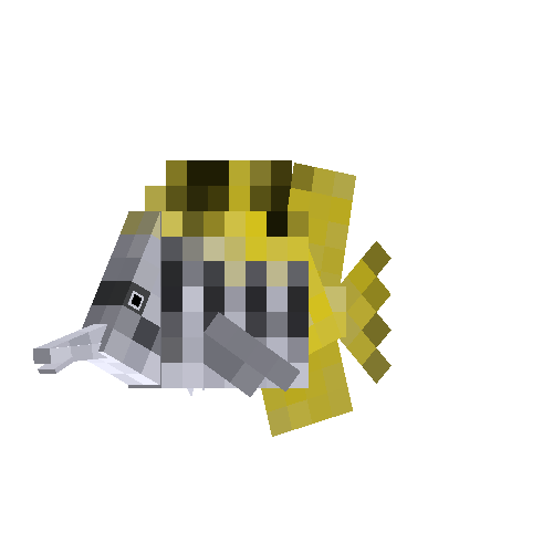 Blackwedged butterfly fish (male)