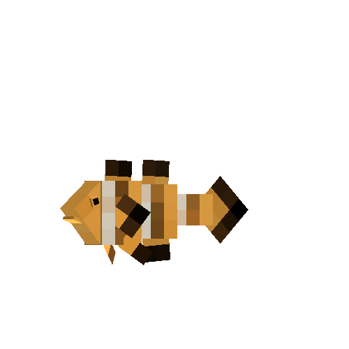 Clownfish (male)