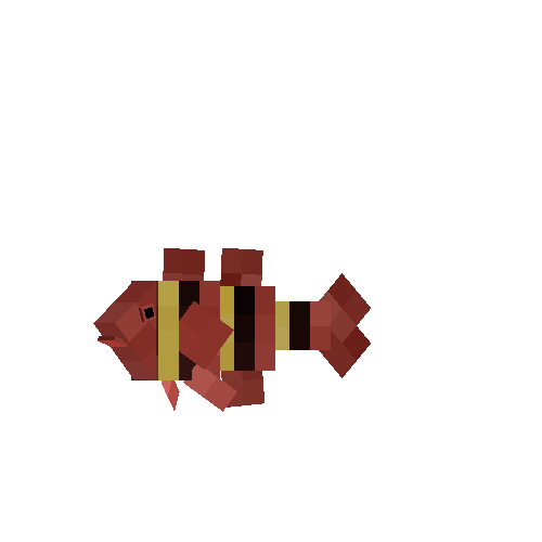Yellow stripe clownfish (female)