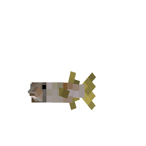 Puffer fish (male)
