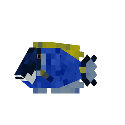Powder blue tang (male)