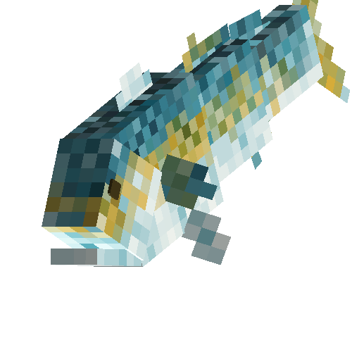 Yellowtail amberjack (female)