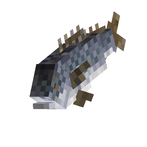 Sea bream (male)