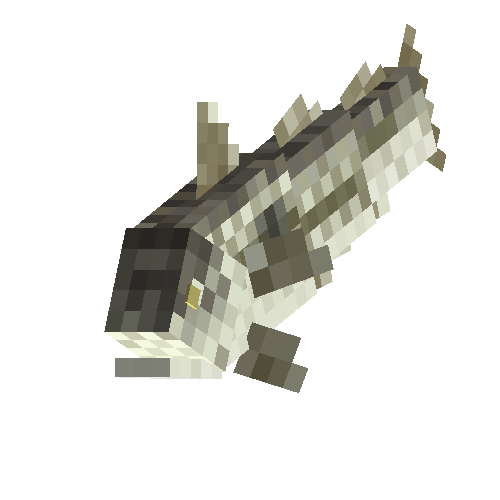 Haddock (female)