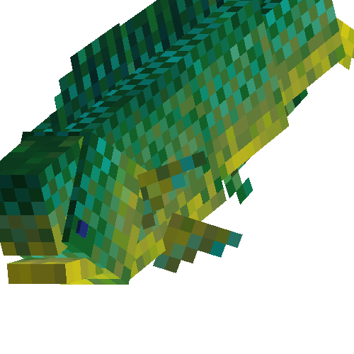 Mahi-mahi (male)