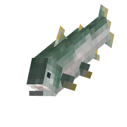 Pink salmon (female)