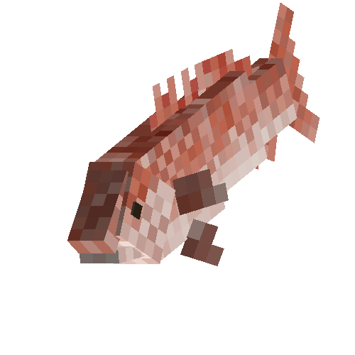 Red snapper (male)