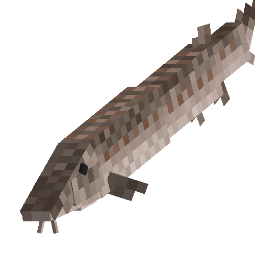 Sturgeon (female)