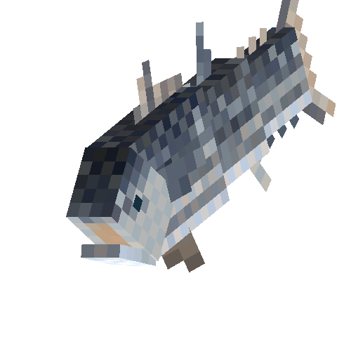 Skipjack tuna (female)
