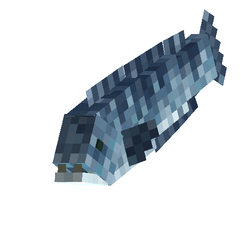 Wolf fish (female)