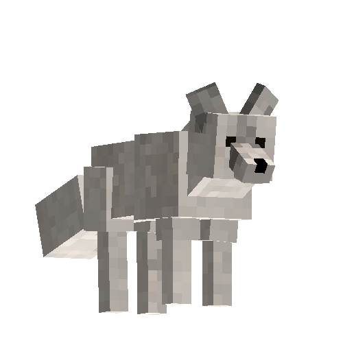 Arctic fox (male)