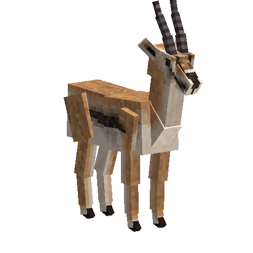 Gazelle (male)