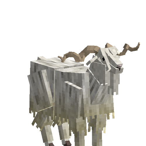 Angora goat (male)
