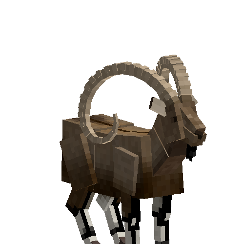 Nubian ibex (male)