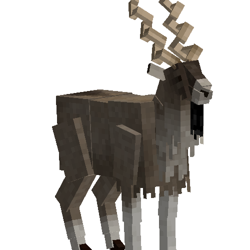 Markhor goat (male)