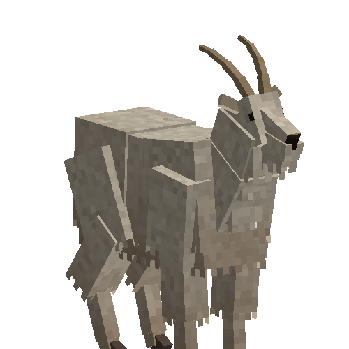 Mountain goat (male)