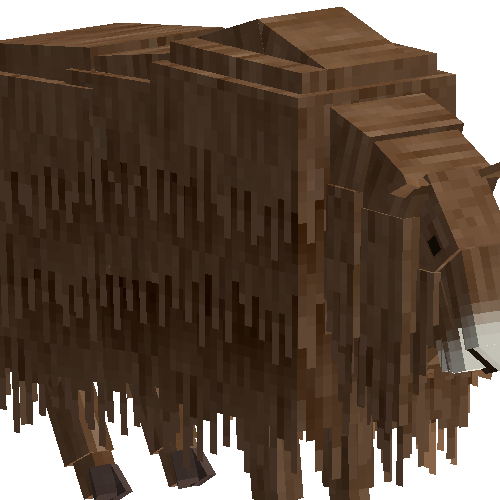 Musk ox (female)