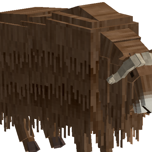 Musk ox (male)