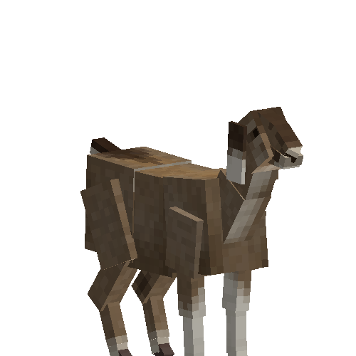 Nubian goat (female)