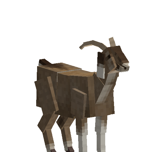 Nubian goat (male)