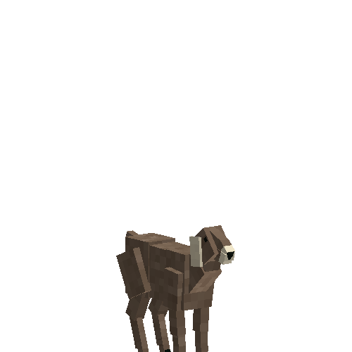 Nubian goat kid (male)