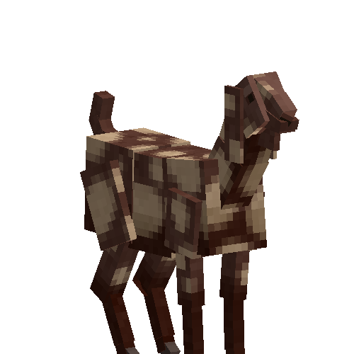 Sirohi goat (female)